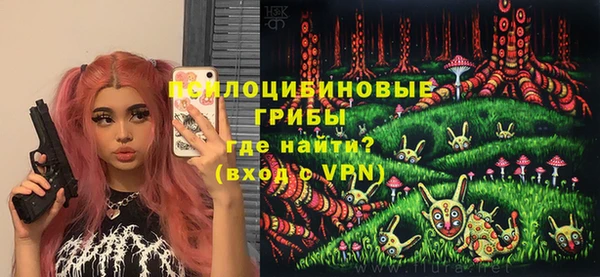 шишки Тавда