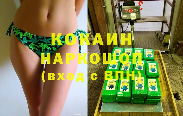 крисы Надым