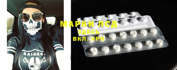шишки Тавда
