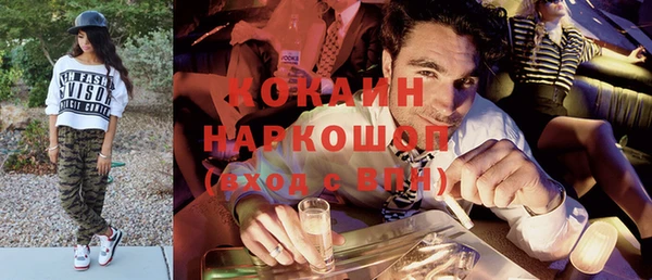 крисы Надым