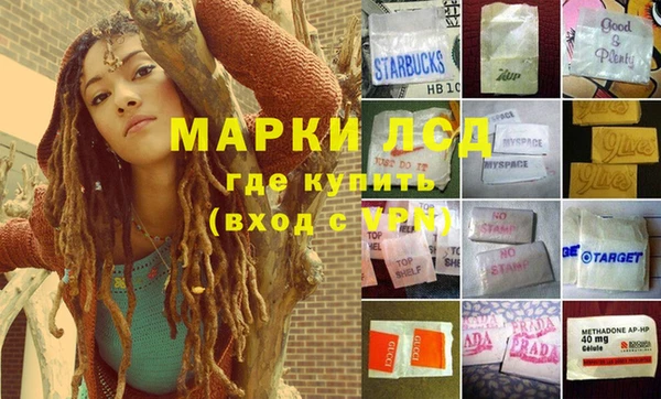 шишки Наволоки