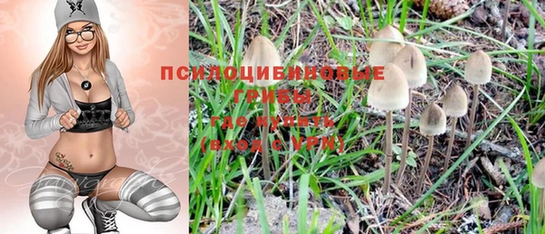 шишки Наволоки