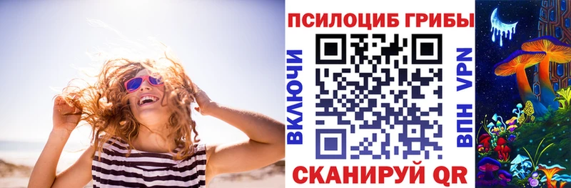 хочу   гидра маркетплейс  Псилоцибиновые грибы прущие грибы  Заозёрный 